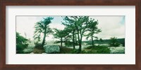 Close up of trees, Gertrude's Nose, Minnewaska State Park, Catskill Mountains, New York State, USA Fine Art Print