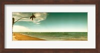 Single leaning palm tree on the beach, Morro De Sao Paulo, Tinhare, Cairu, Bahia, Brazil Fine Art Print