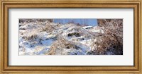 Snow covered hill, Saint-Blaise-sur-Richelieu, Quebec, Canada Fine Art Print