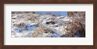 Snow covered hill, Saint-Blaise-sur-Richelieu, Quebec, Canada Fine Art Print