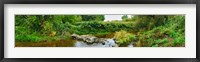 River flowing through a forest, Acadia River, Quebec, Canada Fine Art Print