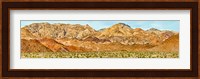 Bushes in a desert with mountain range in the background, Death Valley, Death Valley National Park, California Fine Art Print