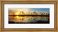 Reflection of trees in water at sunset, Lake Worth, Palm Beach County, Florida, USA Fine Art Print