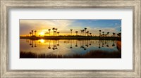 Reflection of trees in water at sunset, Lake Worth, Palm Beach County, Florida, USA Fine Art Print