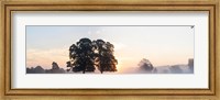 Trees at sunrise, USK Valley, South Wales, Wales Fine Art Print