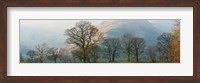 Autumn trees with mountain in the background, Langdale, Lake District National Park, Cumbria, England Fine Art Print