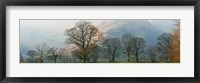 Autumn trees with mountain in the background, Langdale, Lake District National Park, Cumbria, England Fine Art Print