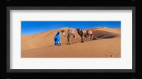 Tuareg man leading camel train in desert, Erg Chebbi Dunes, Sahara Desert, Morocco Fine Art Print