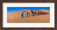 Tuareg man leading camel train in desert, Erg Chebbi Dunes, Sahara Desert, Morocco Fine Art Print