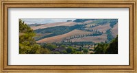 High angle view of winding road in valley, Tuscany, Italy Fine Art Print
