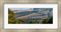 High angle view of winding road in valley, Tuscany, Italy Fine Art Print