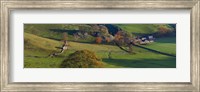 High angle view of a village in valley, Dove Dale, White Peak, Peak District National Park, Derbyshire, England Fine Art Print