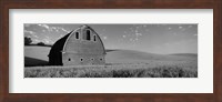 Black and White view of Old barn in a wheat field, Washington State Fine Art Print