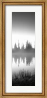 Reflection of trees in a lake in black and white, Mt Rainier National Park, Washington State Fine Art Print