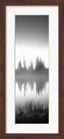 Reflection of trees in a lake in black and white, Mt Rainier National Park, Washington State Fine Art Print