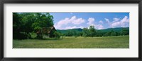 Barn in a field, Cades Cove, Great Smoky Mountains National Park, Tennessee, USA Fine Art Print