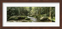 Roaring Fork River, Great Smoky Mountains, Tennessee Fine Art Print