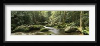 Roaring Fork River, Great Smoky Mountains, Tennessee Fine Art Print