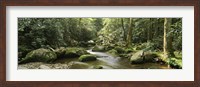 Roaring Fork River, Great Smoky Mountains, Tennessee Fine Art Print