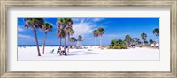 Palm trees on the beach, Siesta Key, Gulf of Mexico, Florida, USA Fine Art Print