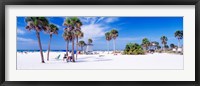 Palm trees on the beach, Siesta Key, Gulf of Mexico, Florida, USA Fine Art Print