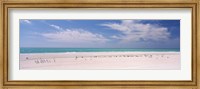 Flock of seagulls on the beach, Lido Beach, St. Armands Key, Sarasota Bay, Florida, USA Fine Art Print