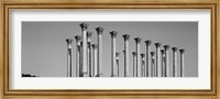 Low angle view of columns, National Capitol Columns, National Arboretum, Washington DC, USA Fine Art Print