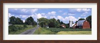 Road passing through a farm, Emmons Road, Tompkins County, Finger Lakes Region, New York State, USA Fine Art Print