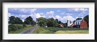 Road passing through a farm, Emmons Road, Tompkins County, Finger Lakes Region, New York State, USA Fine Art Print