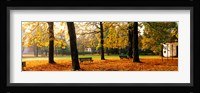 Park Bavaria Germany Framed Print