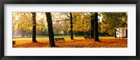 Park Bavaria Germany Framed Print