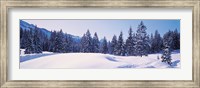 Snowy Field & Trees Oberjoch Germany Fine Art Print