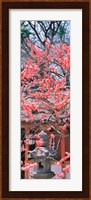 Kitano-Tenmangu Kyoto Japan Fine Art Print