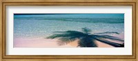 Palm Tree Shadow Over the Maldives Fine Art Print