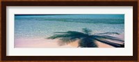 Palm Tree Shadow Over the Maldives Fine Art Print