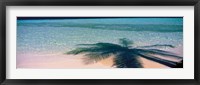 Palm Tree Shadow Over the Maldives Fine Art Print