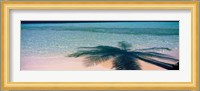 Palm Tree Shadow Over the Maldives Fine Art Print