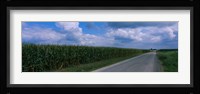Road along corn fields, Christian County, Illinois, USA Fine Art Print