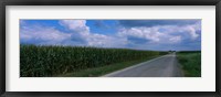 Road along corn fields, Christian County, Illinois, USA Fine Art Print