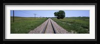 Telephone poles along a railroad track, Custer County, Nebraska Fine Art Print