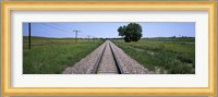 Telephone poles along a railroad track, Custer County, Nebraska Fine Art Print