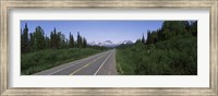 Road passing through a landscape, George Parks Highway, Alaska, USA Fine Art Print