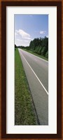 Trees along the road, Alabama State Route 113, Alabama, USA Fine Art Print