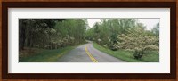 Road passing through a landscape, Blue Ridge Parkway, Virginia, USA Fine Art Print