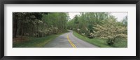 Road passing through a landscape, Blue Ridge Parkway, Virginia, USA Fine Art Print