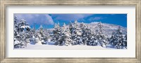 Winter in Chino Nagano Japan Fine Art Print