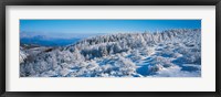 Winter in Utsukushigahara Nagano Japan Fine Art Print