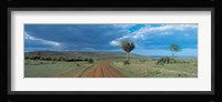 Masai Mara Game Reserve Kenya Fine Art Print