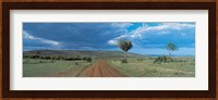 Masai Mara Game Reserve Kenya Fine Art Print