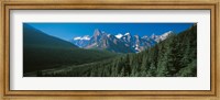 Forest with Mountains in the Background, Banff National Park Canada Fine Art Print
